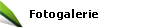 Fotogalerie