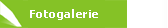 Fotogalerie